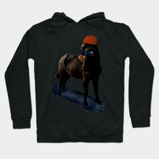 COOL SKATEBOARDING HORSE Hoodie